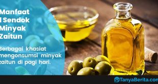 Manfaat Mengonsumsi Satu Sendok Minyak Zaitun di Pagi Hari Banyak Khasiatnya