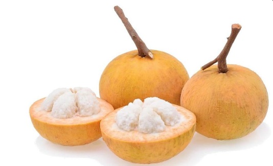 Harga Buah Kecapi (Sentul) per Kg Terbaru